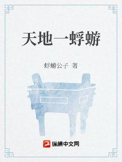 天地一蜉蝣